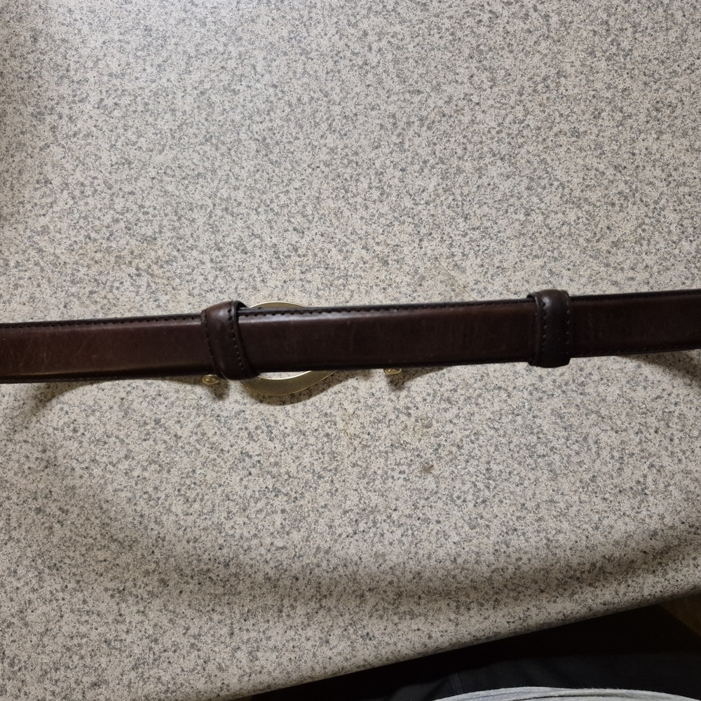 Elegant Brown Belt with Gold Accents - Picture 4 of 11